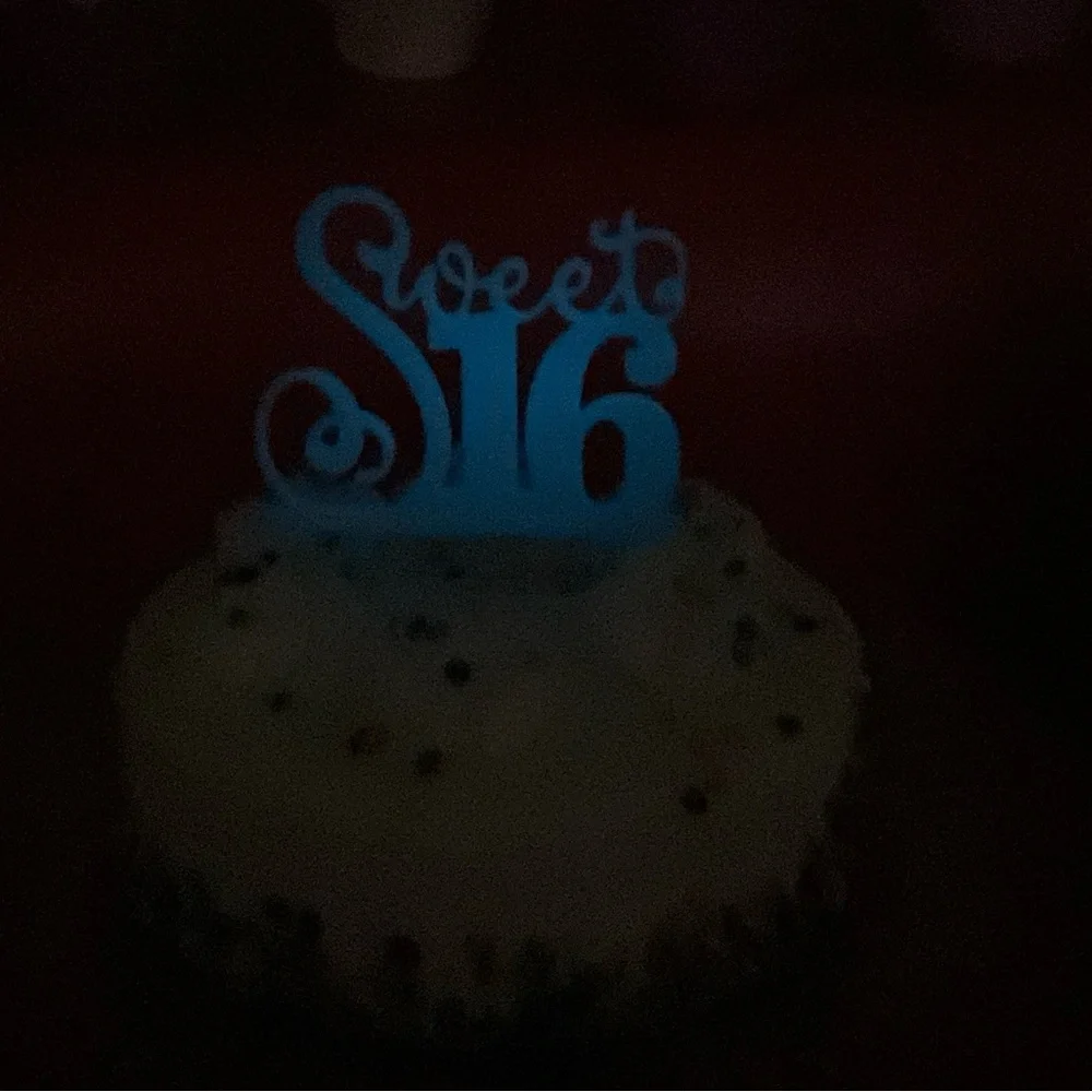 New! Sweet 16 Cake Topper 3D Cake Topper Sweet Sixteen Customizable Cake Topper